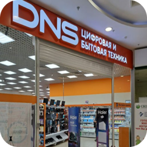 Национальный аудит  промо-персонала в сети «DNS»